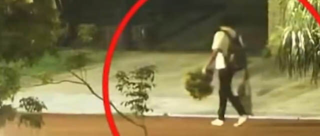 POSADAS: La tecnología del 911 dejó al descubierto a un hombre que robaba plantines en la Costanera