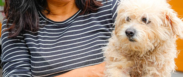 POSADAS: Agenda semanal de operativos de salud y servicios