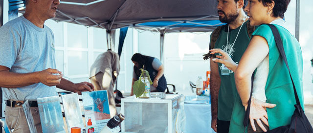 POSADAS: Inició un nuevo operativo LIRAa para prevenir el dengue