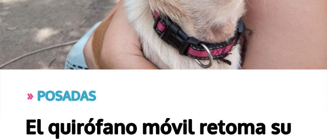 El quirófano móvil retoma su recorrido por los barrios con atención veterinaria gratuita